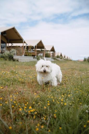 Camping Espazo Nature